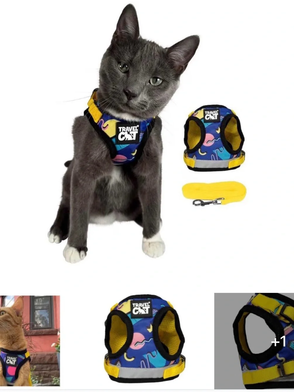 Multicolor Padded Harness with Yellow Leash
